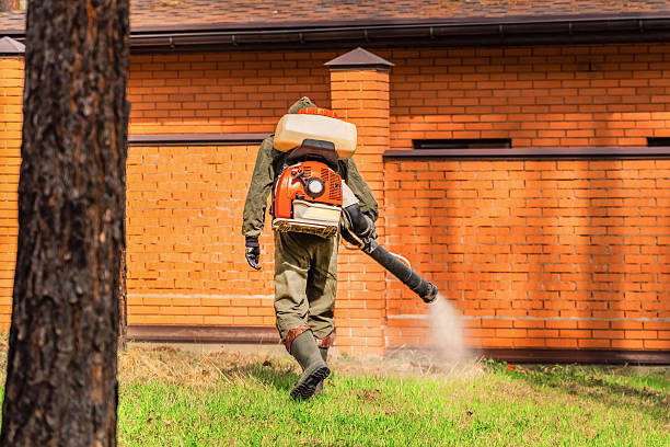 Trusted Termite Control service in Waynesville, MO - Nex Pest Control